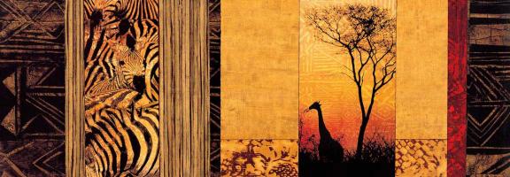 African Plains #CSD5100