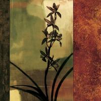Mesmerized I #CSD5205 Mesmerized I #CSD5205
