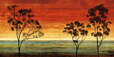 Sunset Vista I #CSD6073 Sunset Vista I #CSD6073