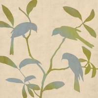 Birdsong II #CSD6523 Birdsong II #CSD6523