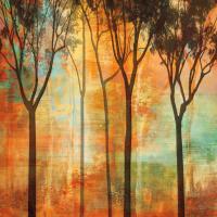 Magical Forest II #CSD6658 Magical Forest II #CSD6658