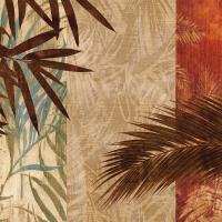 In the Tropics I #CSD6903