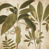 Palm Persuasion I #CSD7429 Palm Persuasion I #CSD7429