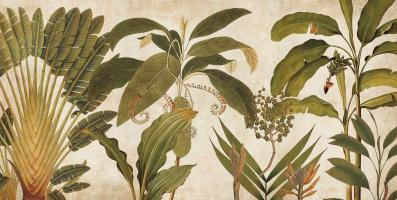 Palm Medley #CSD7431 Palm Medley #CSD7431