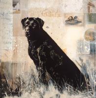 Best of Breed #83608 Best of Breed #83608