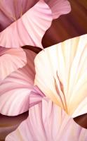 Codius Gladiolus #98561 Codius Gladiolus #98561
