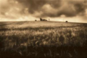 Wheathouse #82606 Wheathouse #82606