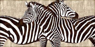 Zebra Gathering #DDS111230 Zebra Gathering #DDS111230