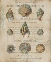 Shell Collection I #DDV7066 Shell Collection I #DDV7066