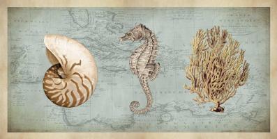 Sea Treasures I #DDV7414 Sea Treasures I #DDV7414