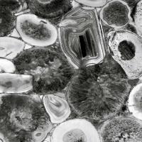 Agate in Grey I #DLC112142 Agate in Grey I #DLC112142