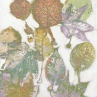 Multi Colored Nature I #DLC114104 Multi Colored Nature I #DLC114104