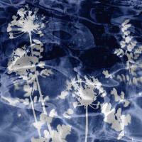 Indigo Nature II #DLC114110 Indigo Nature II #DLC114110
