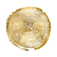 Timber Gold I #DLC114122 Timber Gold I #DLC114122