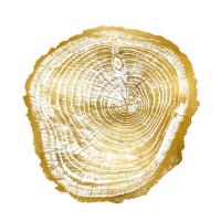 Timber Gold III #DLC114124 Timber Gold III #DLC114124