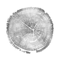 Timber Silver I #DLC114126 Timber Silver I #DLC114126