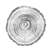 Timber Silver II #DLC114127 Timber Silver II #DLC114127