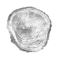 Timber Silver III #DLC114128 Timber Silver III #DLC114128