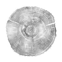 Timber Silver IV #DLC114129 Timber Silver IV #DLC114129