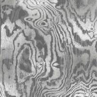 Silver Variations I #DLC114136 Silver Variations I #DLC114136
