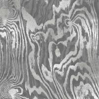 Silver Variations II #DLC114137 Silver Variations II #DLC114137