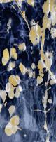Indigo Nature with Gold II #DLC114479 Indigo Nature with Gold II #DLC114479