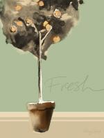 Fresh #82062 Fresh #82062