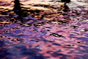 Blue Violet Twilight #102356 Blue Violet Twilight #102356