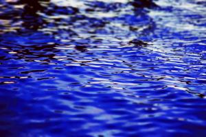 Deep blue Voilet Twilight #102357 Deep blue Voilet Twilight #102357