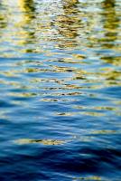 Gilded Seas #102359 Gilded Seas #102359