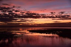Lake Lochloosa #2 #102364 Lake Lochloosa #2 #102364