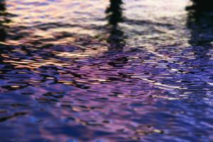 Violet Twilight #102379 Violet Twilight #102379