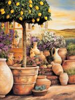 Lemon Topiary #EDO1828 Lemon Topiary #EDO1828