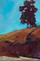 Lone Tree #EDR112253 Lone Tree #EDR112253
