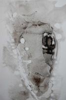 Translucent VI #EIG111662