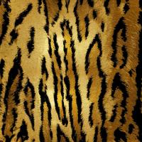 Skins II #ELR112181 Skins II #ELR112181