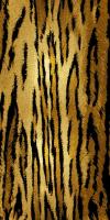 Wild IV #ELR112187 Wild IV #ELR112187