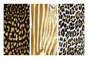 Wild Trio I #ELR112188 Wild Trio I #ELR112188