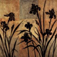 Iris Silhouette II #ERL4340 Iris Silhouette II #ERL4340