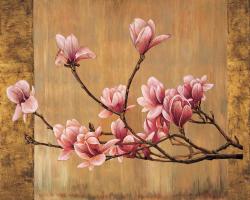 Pink Magnolias #ERL4676 Pink Magnolias #ERL4676