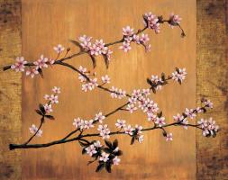 Cherry Blossoms #ERL4677 Cherry Blossoms #ERL4677
