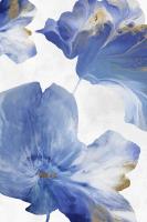 Fluid Flowers I #EW484-A Fluid Flowers I #EW484-A