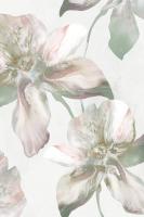 Silk Blush I #EW497-A Silk Blush I #EW497-A