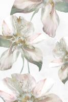 Silk Blush II #EW498-A Silk Blush II #EW498-A