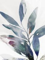 Indigo Sprig II #EZ643-A Indigo Sprig II #EZ643-A