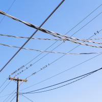 Birds on Wire #88383 Birds on Wire #88383