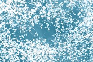 Forest Canopy 1 - Blue #92694 Forest Canopy 1 - Blue #92694