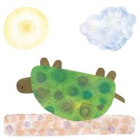 Turtle #76194 Turtle #76194