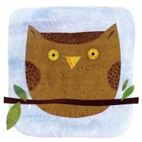 Owl #76196 Owl #76196