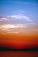 Sunset Flight #92884 Sunset Flight #92884